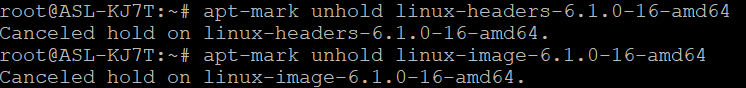 Releasing holds on packages