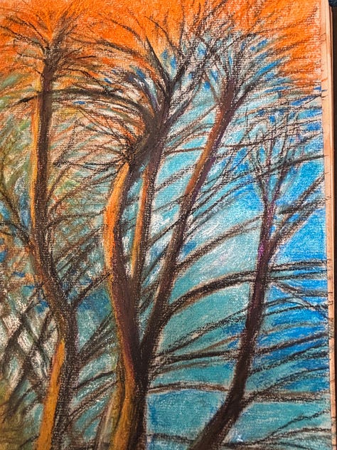 A3 Charcoal and A4 pastel drawings