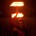 Danyl Strype's avatar