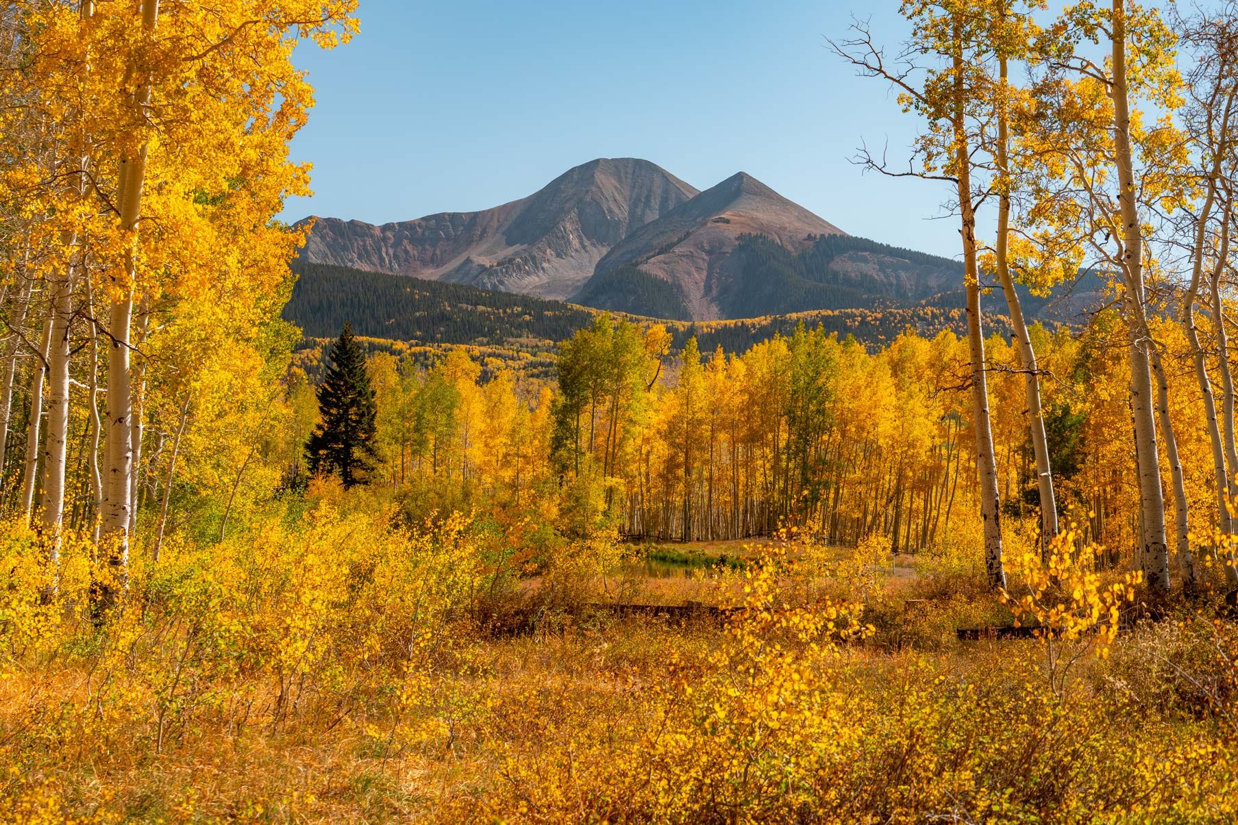 5 Incredible National Forests to See Fall Foliage (This Year), image size:1807x1205