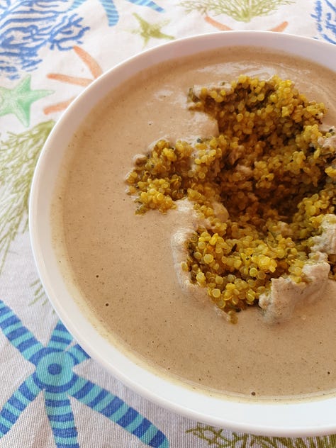 Creative Plantbased Cooking is Easy