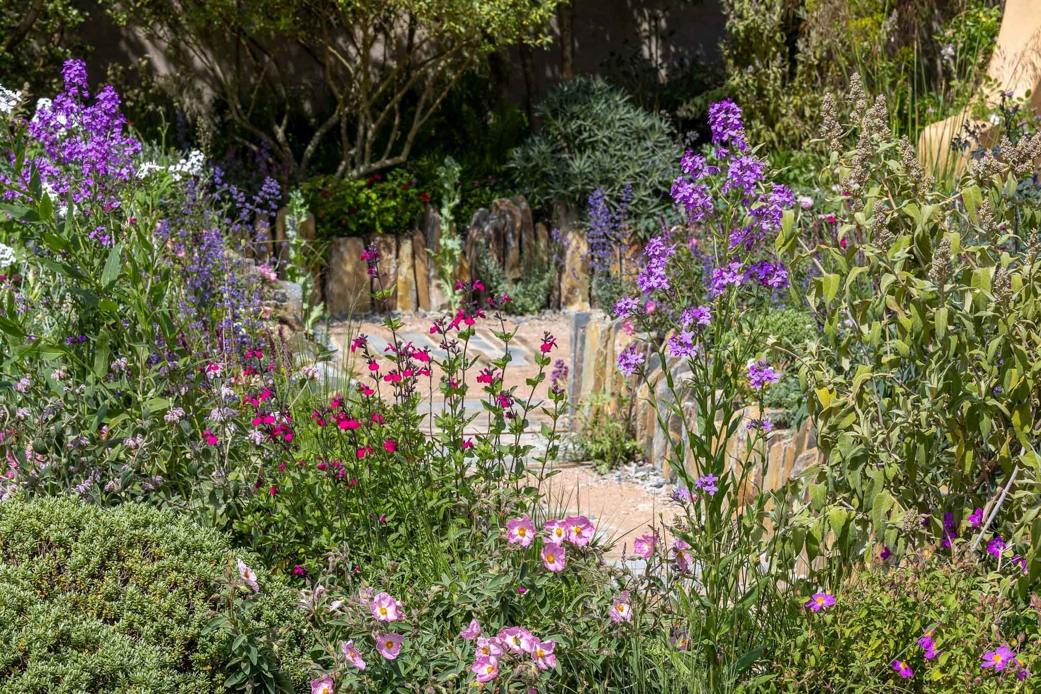 Honesty Rhs RHS Chelsea Flower Show 2026: My Very Honest REVIEW