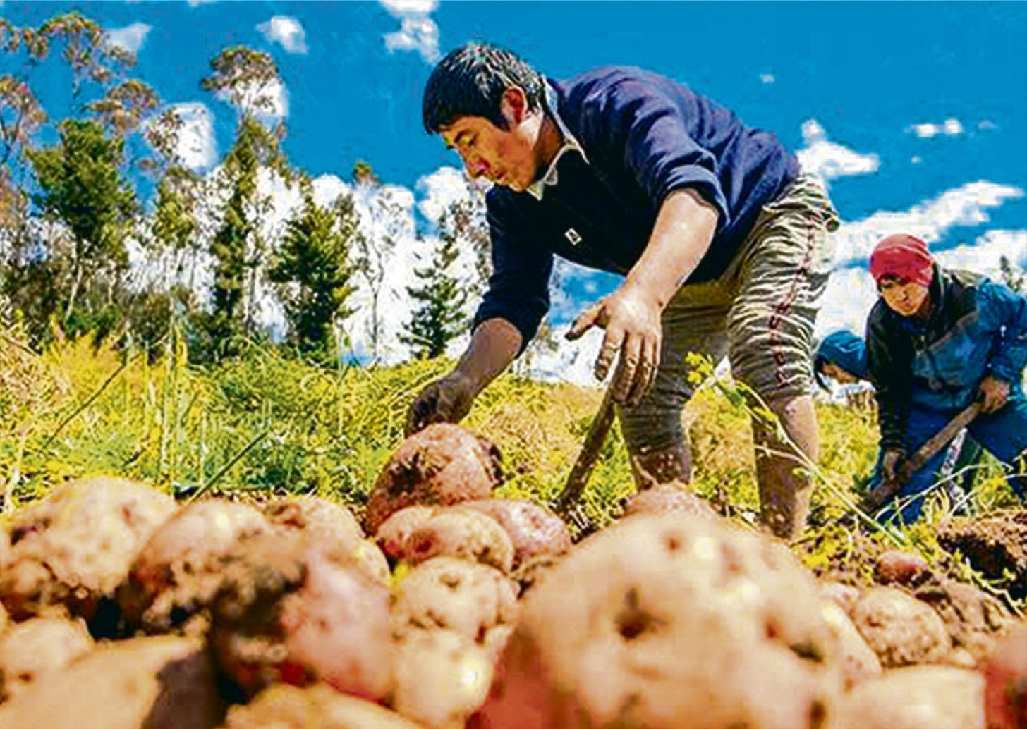 Harán congreso para analizar los nuevos desafíos de la agroexportación  regional - Noticias - Gobierno Regional Arequipa - Plataforma del Estado  Peruano