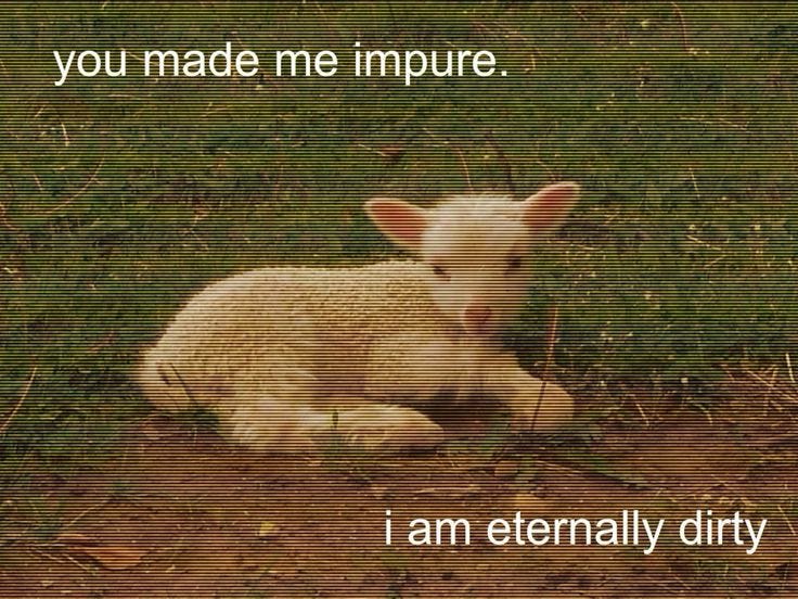 Story pin image Story pin image