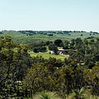 Visual Diary: Djiji-Djiji Wildflower Trail and Bells Rapid in West Australian