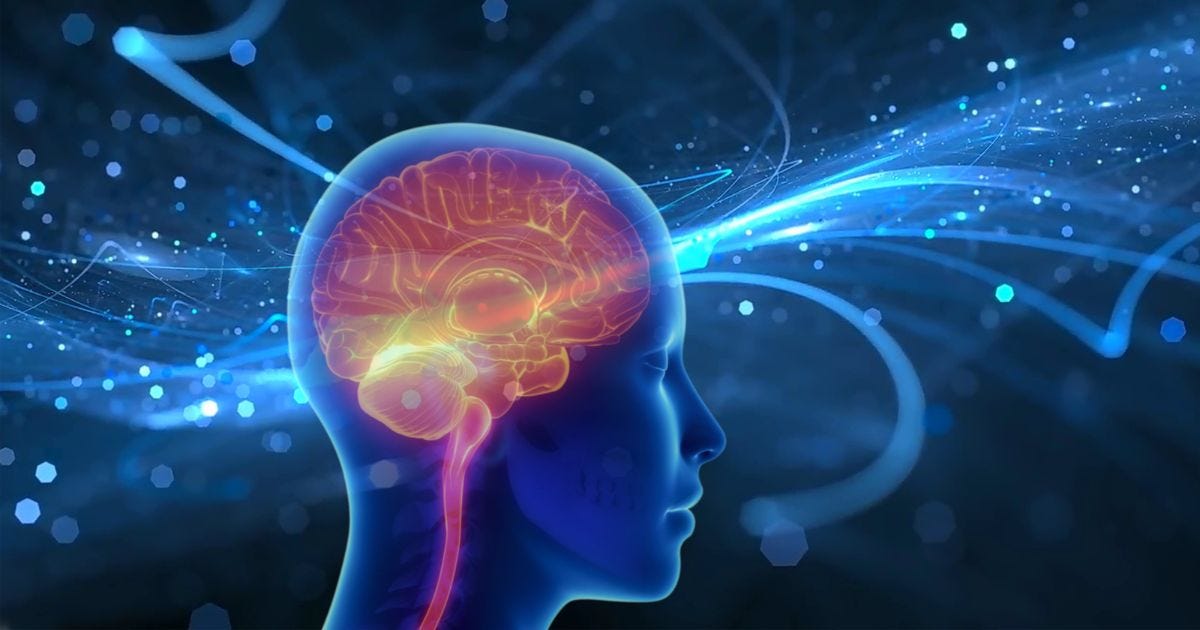 Digital illustration of the human brain and limbic system showing how to re-train your brain through awareness and neuroplasticity. Digital illustration of the human brain and limbic system showing how to re-train your brain through awareness and neuroplasticity.