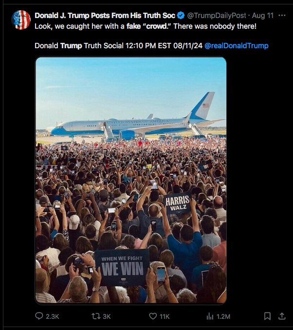 Democratic rally crowd in real life that Trump says is fake