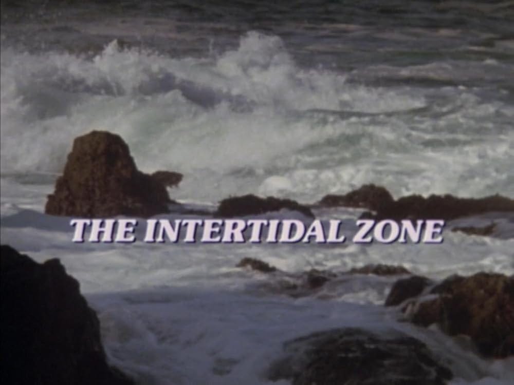 The Intertidal Zone (Short 1985) - IMDb