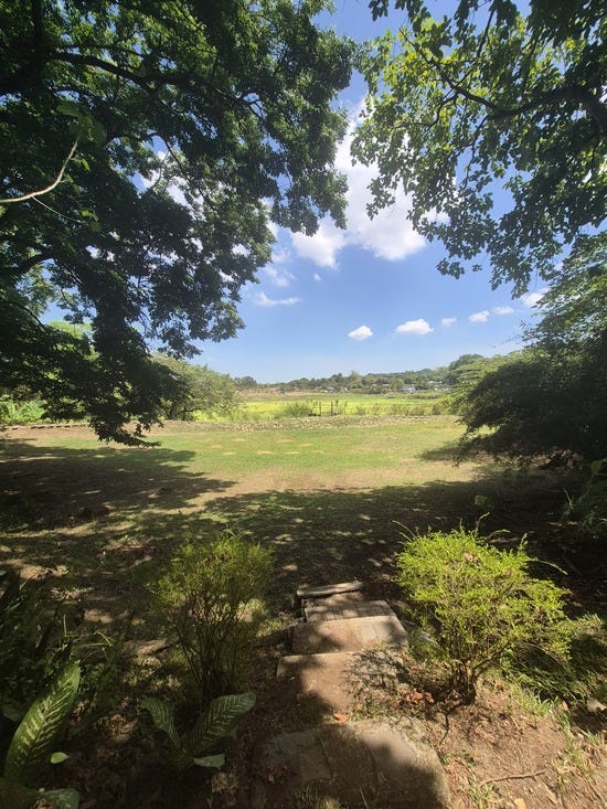 a relaxing view of nature and open fields