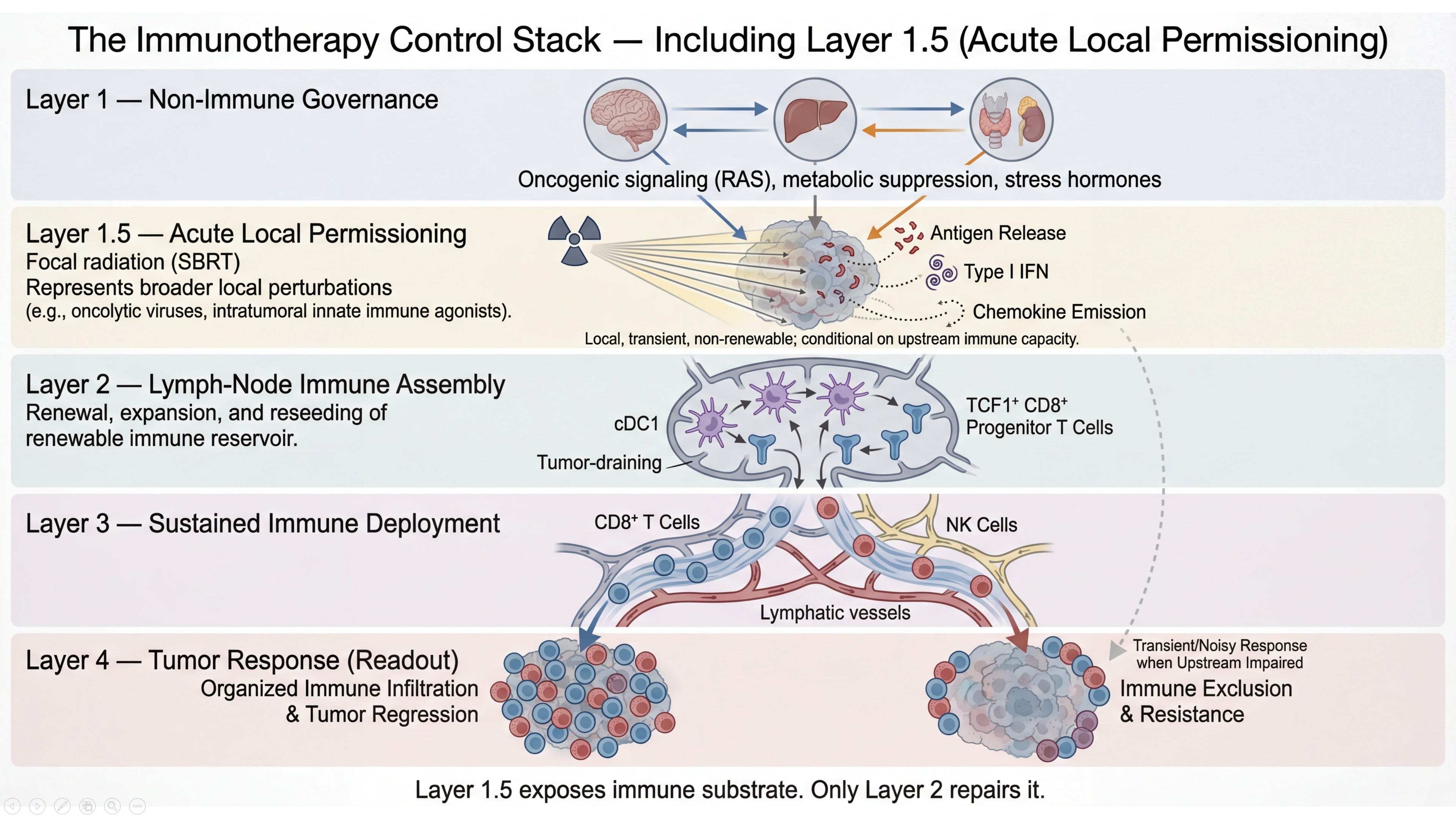 Tumor Response Is Not the Control Layer - David’s Substack