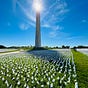 TCinDC's avatar