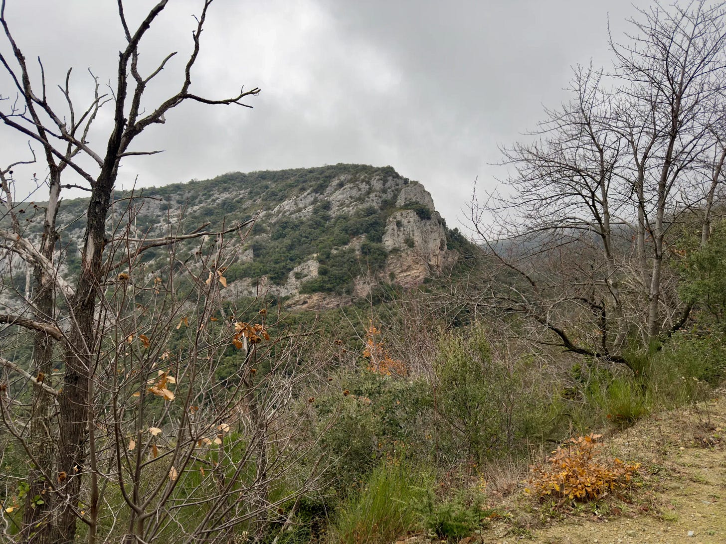 Durant la grimpette Durant la grimpette