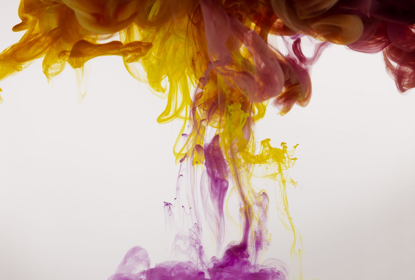 Photo of two different colored dyes swirling together in water, occupying the same space togehter Photo of two different colored dyes swirling together in water, occupying the same space togehter