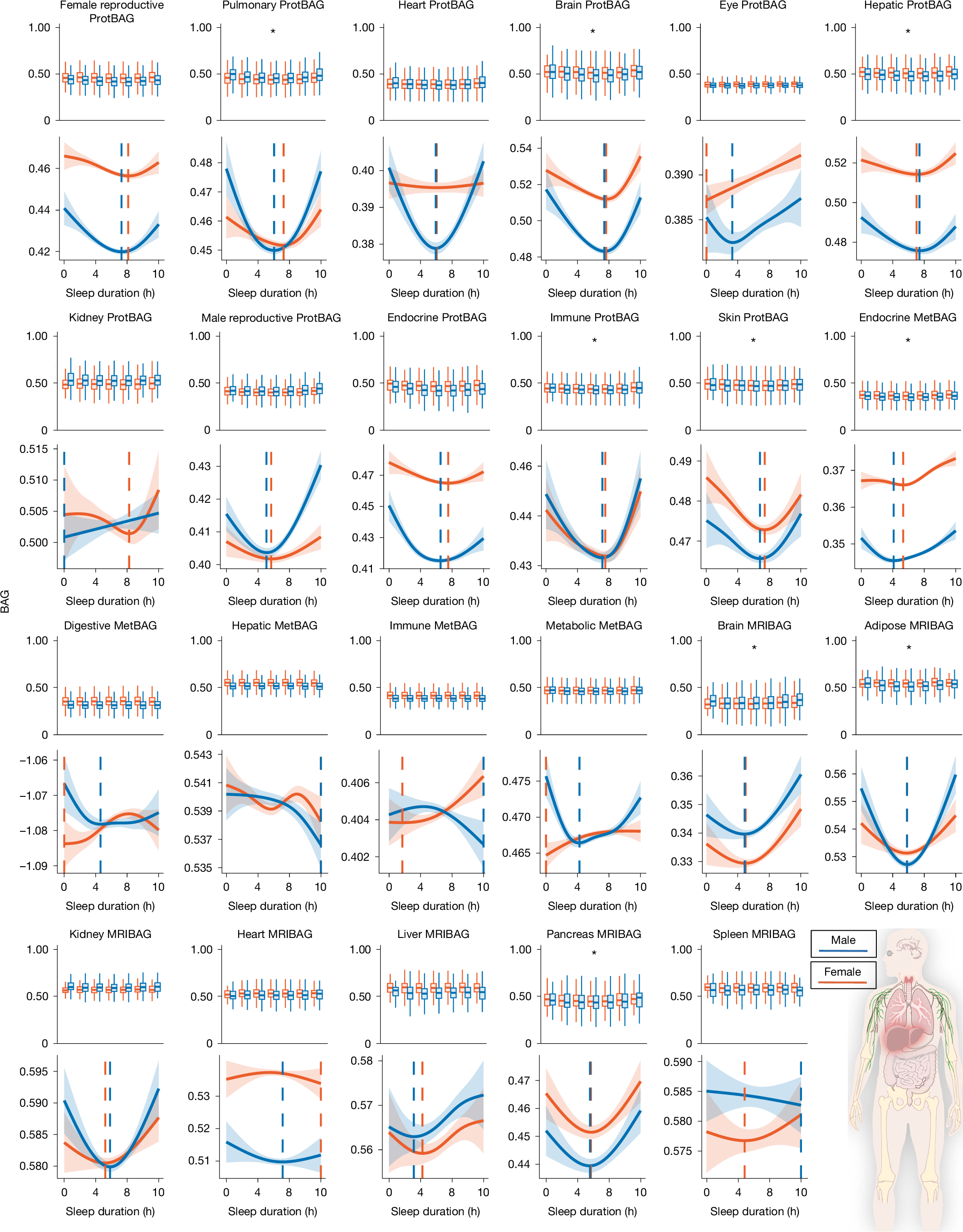Does Poor Sleep Make Your Organs Age Faster? https%3A%2F%2Fsubstack post media.s3.amazonaws.com%2Fpublic%2Fimages%2F73f1d1cc 5752 46fb b2a7
