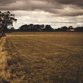 #9 - Chesterton's Fence