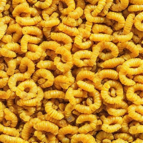 Exploring the Application Areas of Dried Yellow Mealworm: From ...
