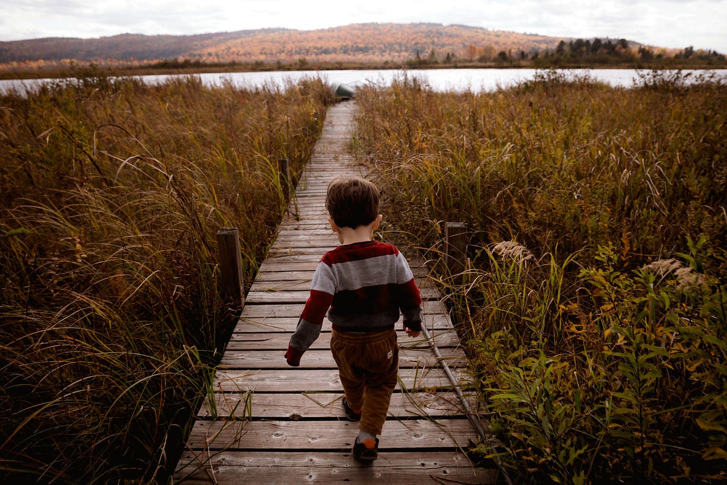 boy walking on wooden pathway beside plants during day boy walking on wooden pathway beside plants during day