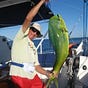 Dave's avatar