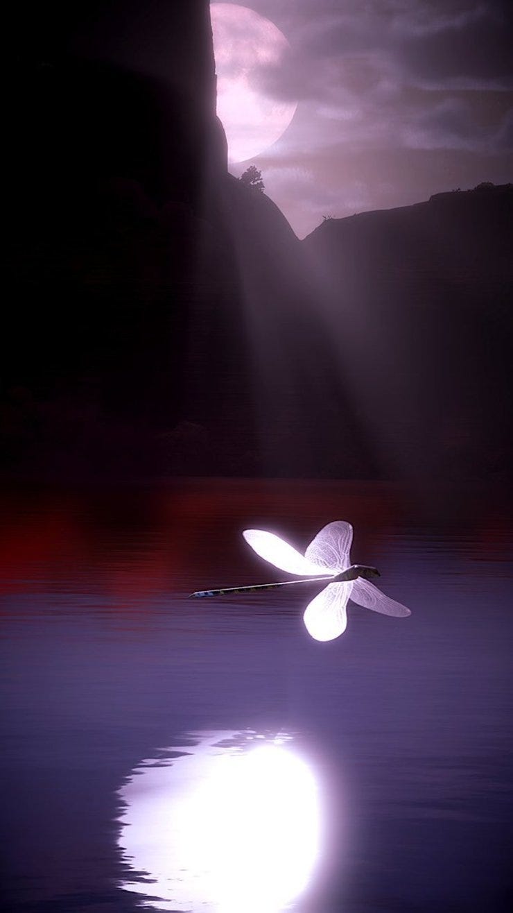 Peace & Quiet    by Cali