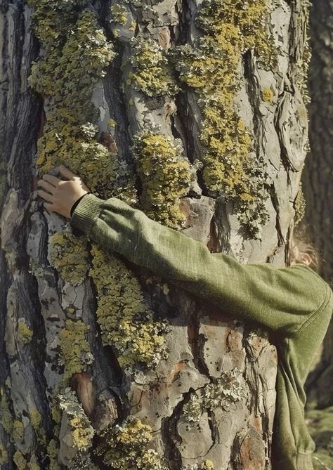 This may contain: a person hugging a tree with moss growing on it