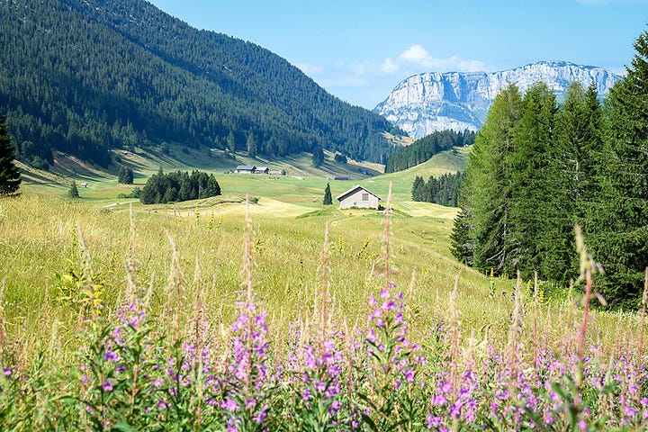 Plateau des Glières
