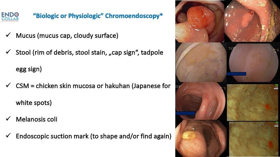 Close-up of several images of a person's body

Description automatically generated