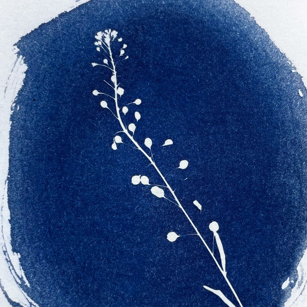 Art & Photo with Ariel Sko