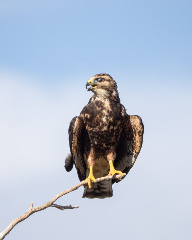 20250801-Manville-388-Edit.jpg 20250801-Manville-388-Edit.jpg