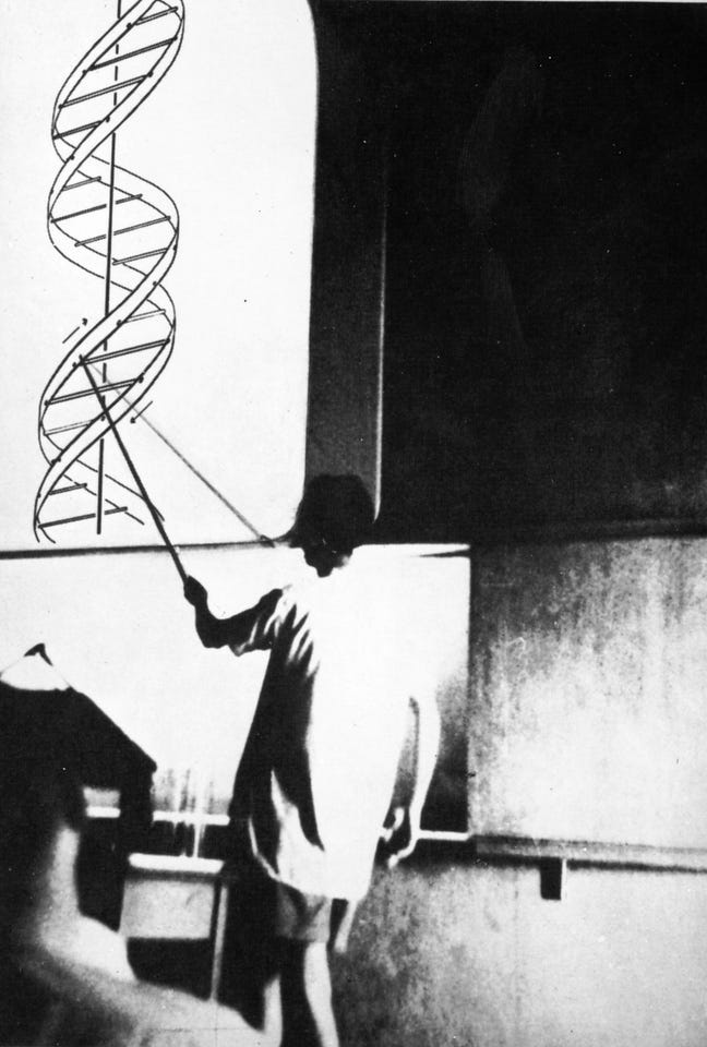 James D. Watson at the first public presentation of the discovery of the structure of DNA.