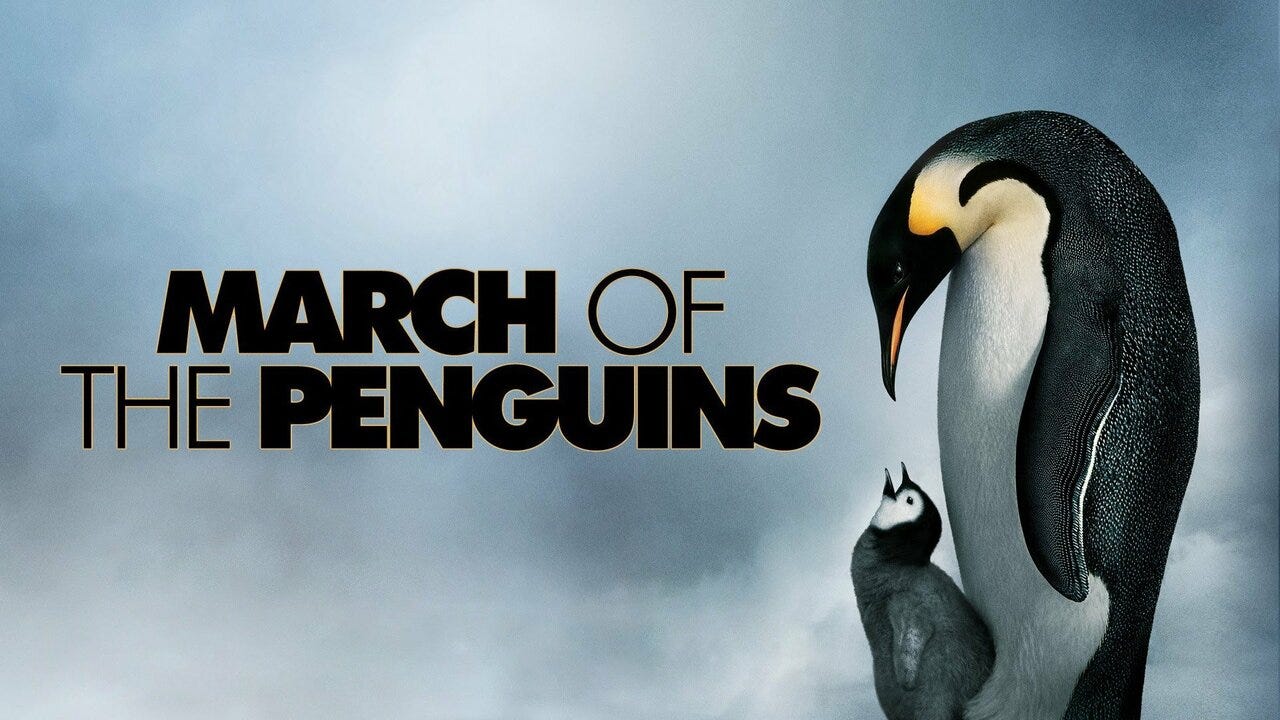 March of the Penguins - Movie - Where To Watch