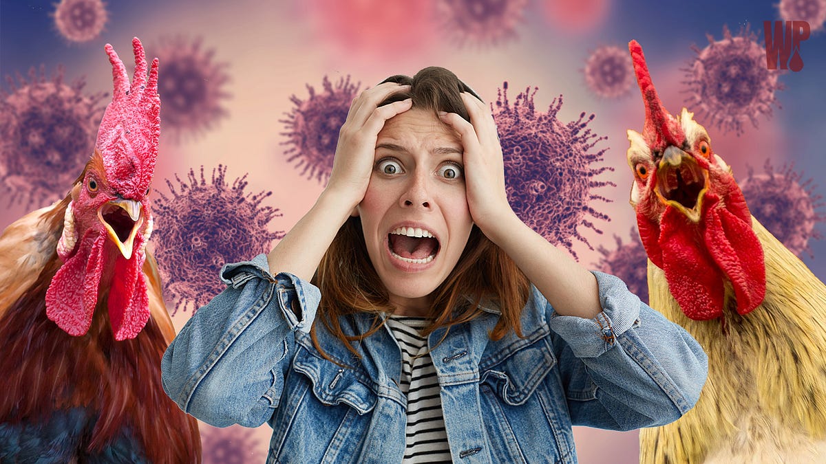 thewinepress.substack.com