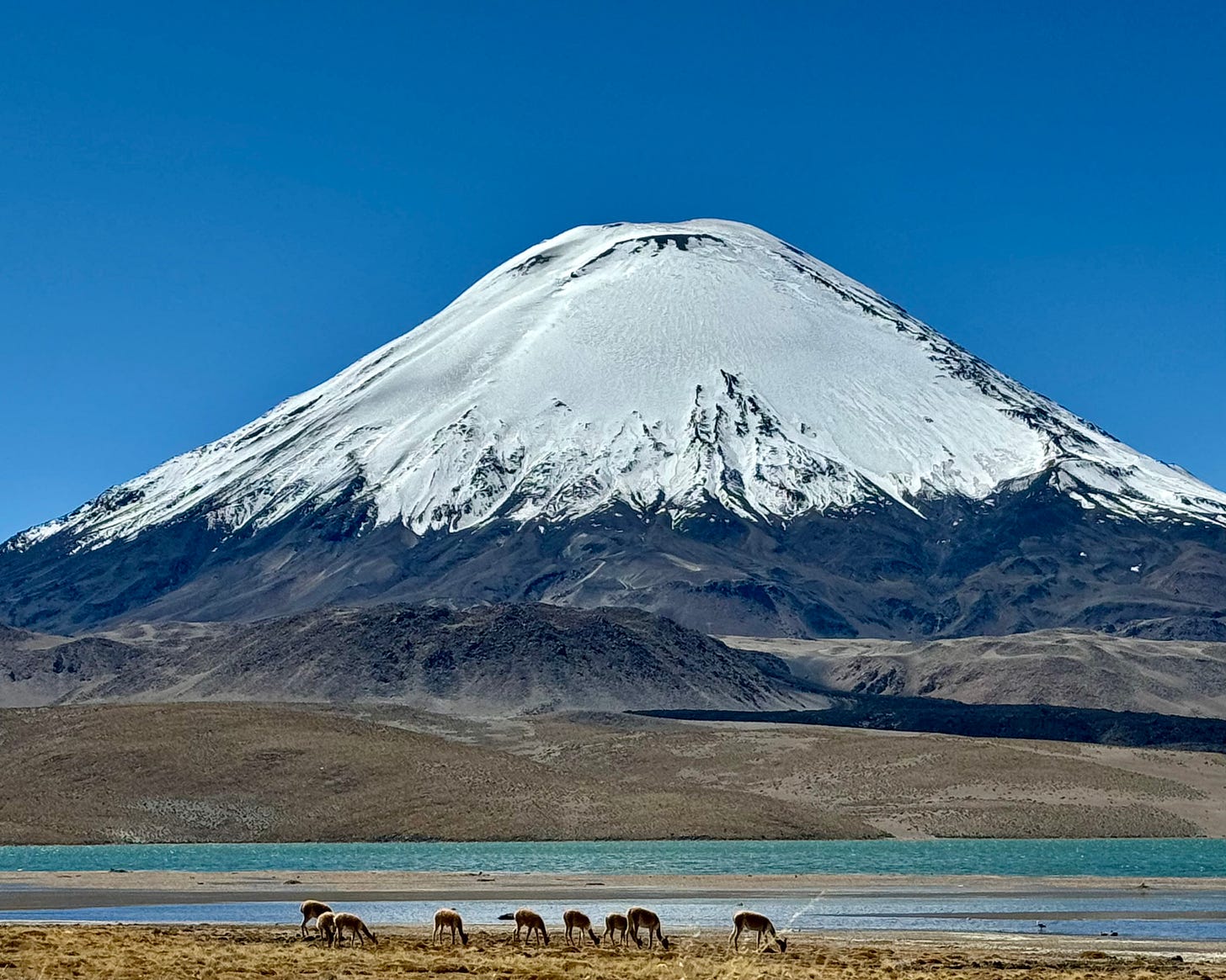 Volcán Parinacota con cono nevado en Parque Nacional Lauca, Chile.