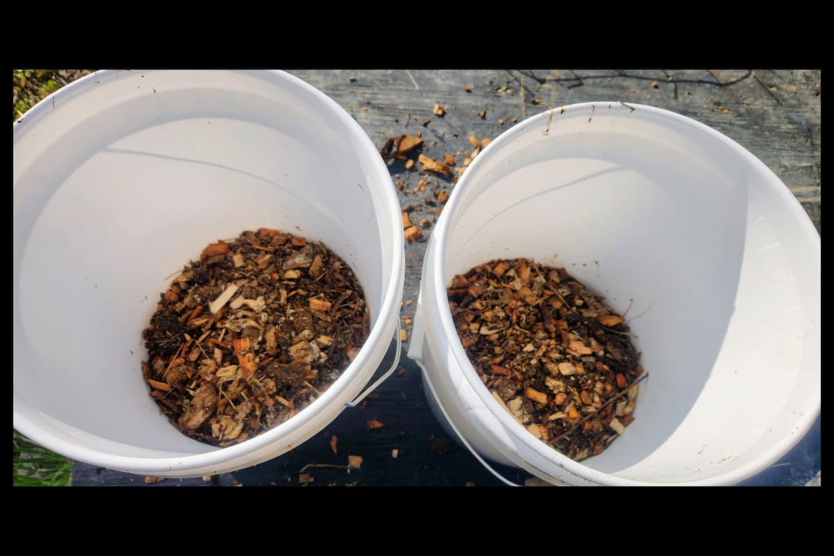 The Bucket Gardening Advantage