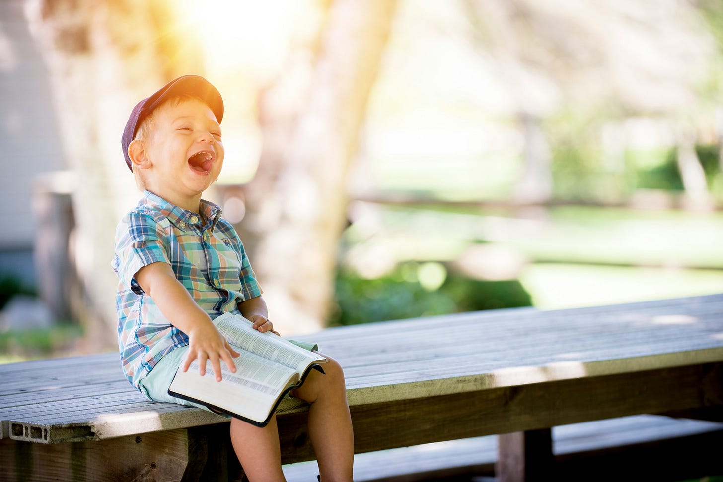young boy about 4 years old on a bench with a book on his lap. He is laughing his head off.