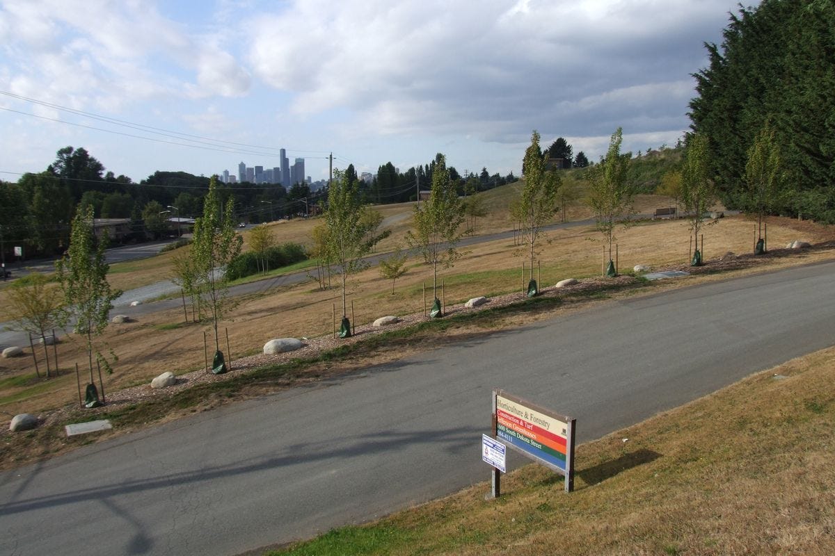 Seattle Jefferson Park on Beacon Hill is on pace to be a Food Forest, a 7-acre spot where crops are grown and the community comes together.  (Paul Haeder / Down to EarthNW Correspondent)