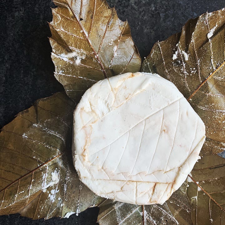 a goat cheese wrapped in leaves like a little present