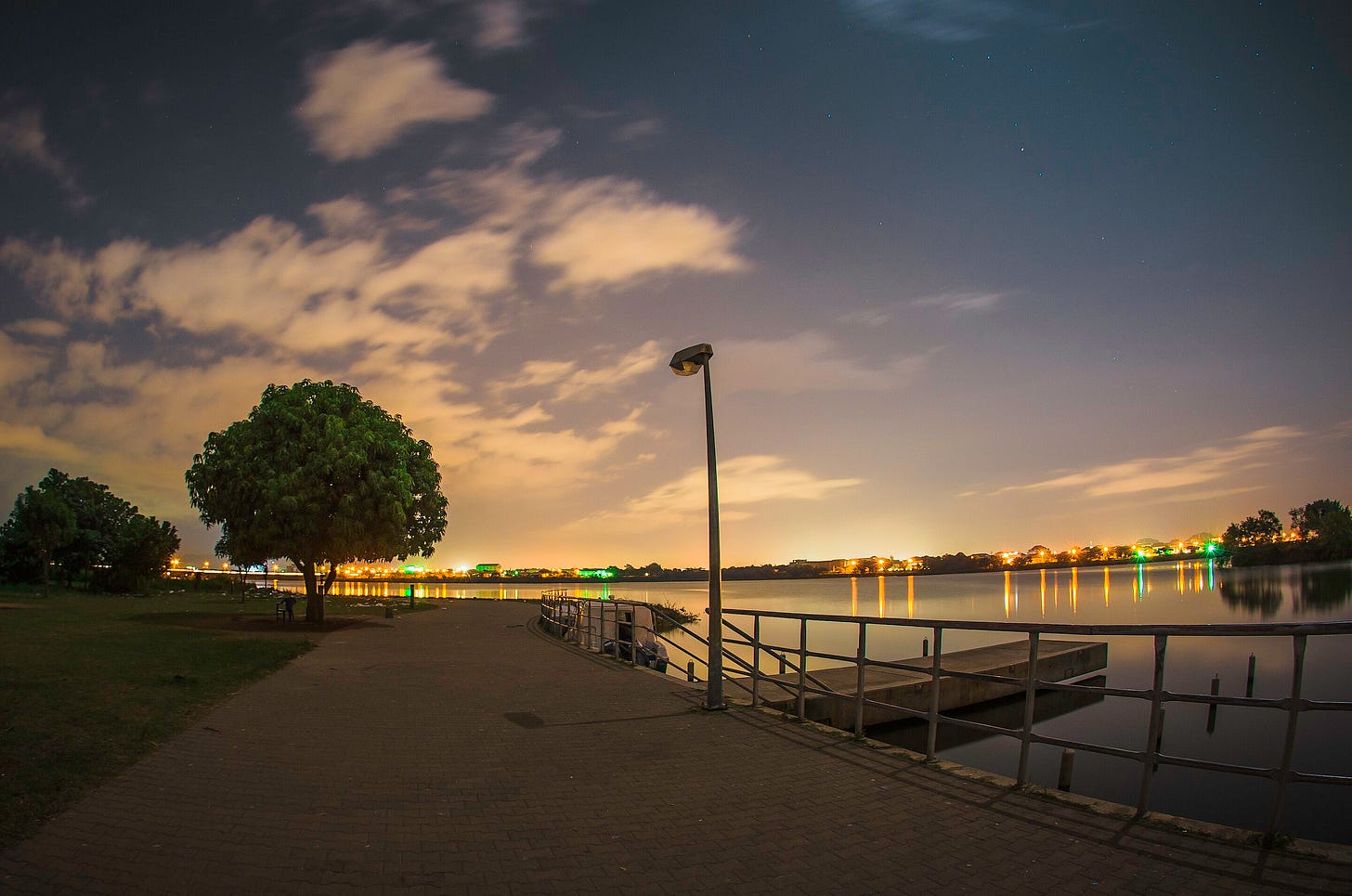 the edge of a lake at sunset with a green tree and buildings on the distant shore