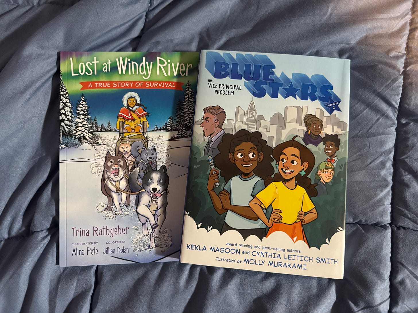 Two books lay atop a dark blue comforter