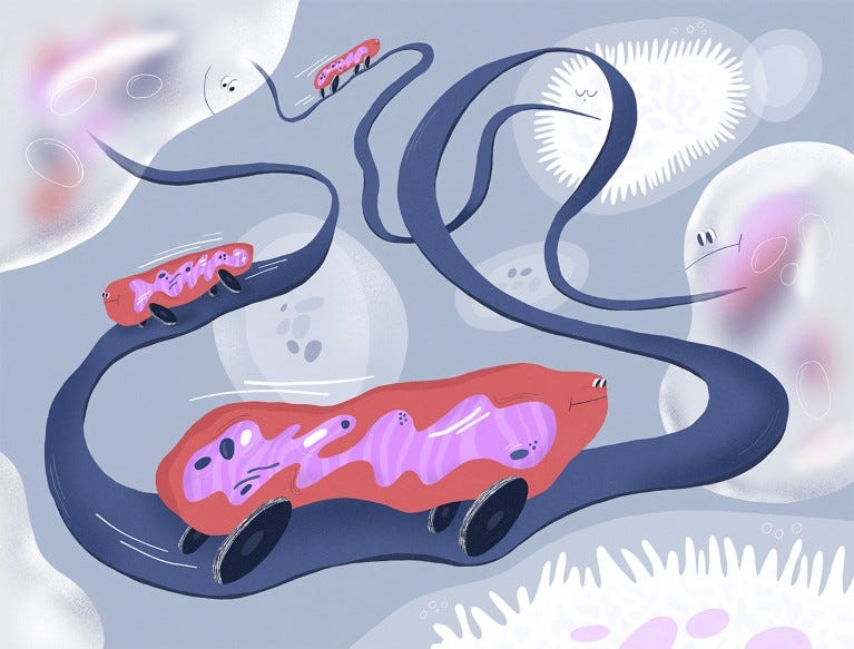 Conceptual illustration showing mitochondria travelling between cells.