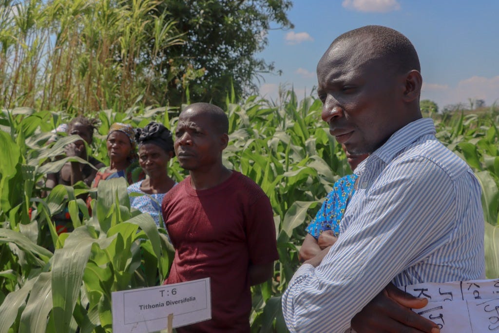 Dowa Farmers Use Ecosystem Analysis to Combat Pests, Boost Yields