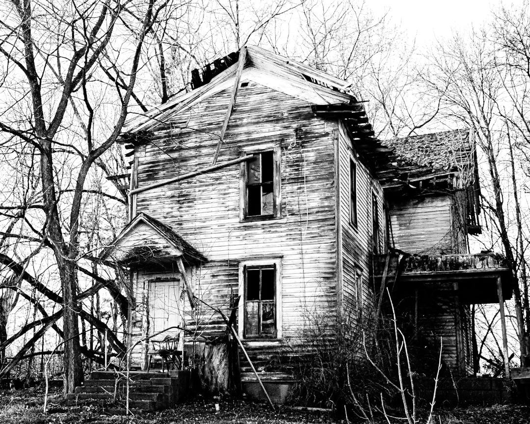 white and black wooden house near bare trees during daytime white and black wooden house near bare trees during daytime