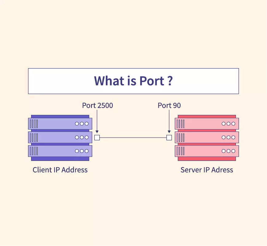 What is Port? - Scaler Topics