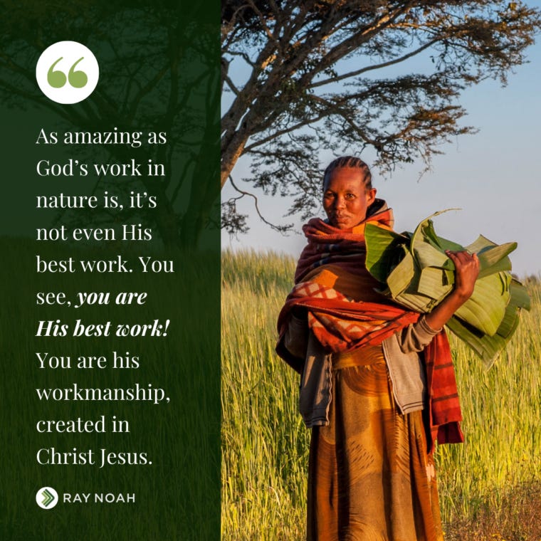 Worship His Majesty - Ray Noah