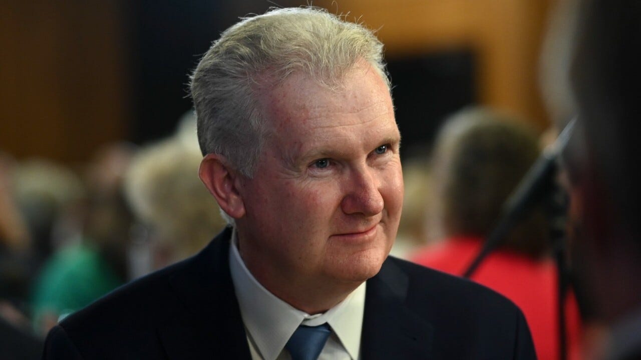 Immigration Minister Tony Burke under pressure to explain how radical ...