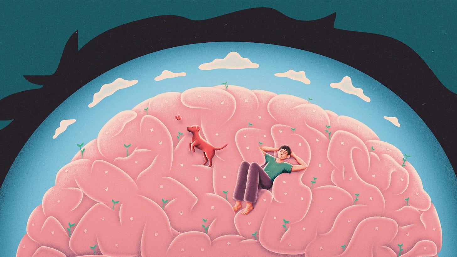 brain