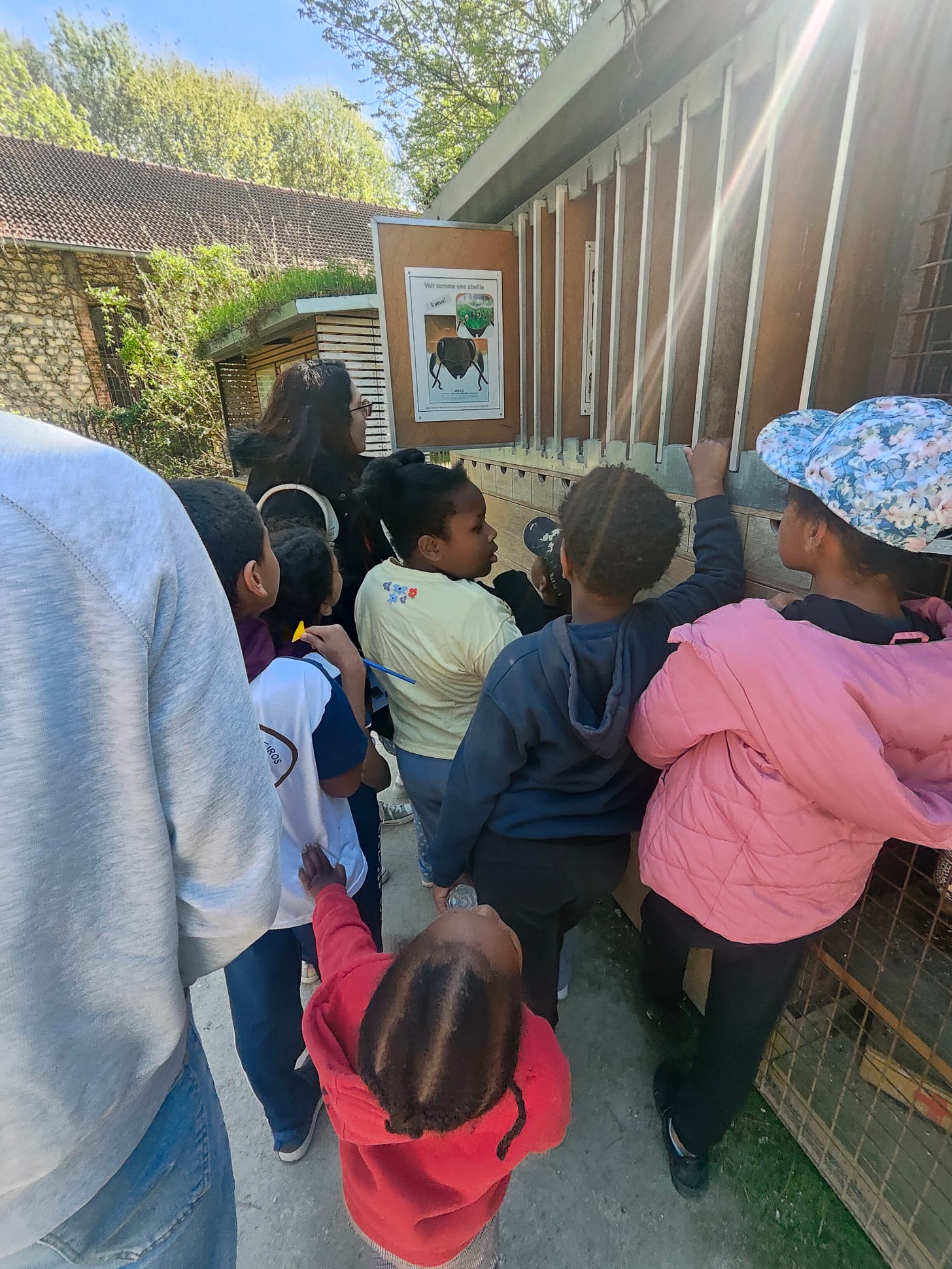 Second-generation immigrant children of African descent in the botanical garden, following their teacher to learn scientific knowledge about insects