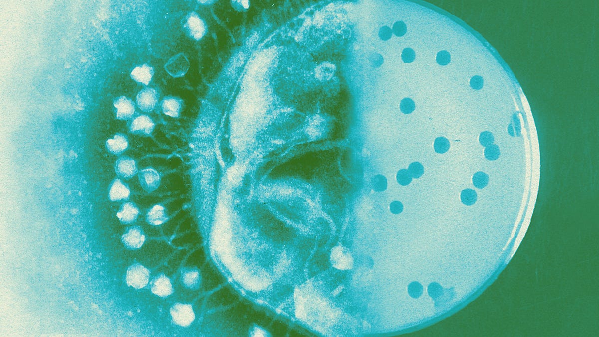 What’s new in biology: June 2026