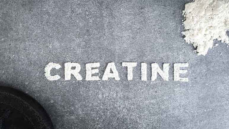 creatine energy backup creatine energy backup