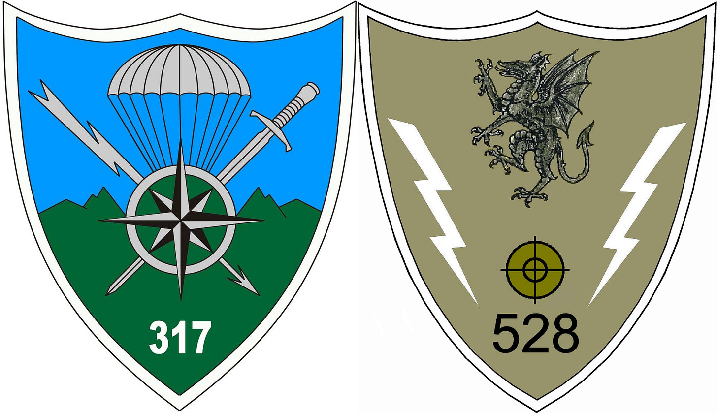 batalion 317 528 cercetare