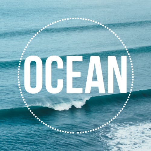 The Ocean